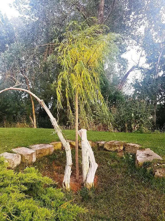 Moli Blanc Hotel Jorba